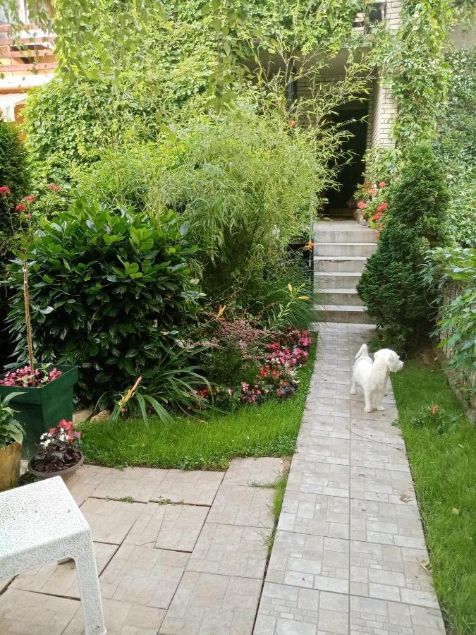 Dusica Apartmani Jagodina Ngoại thất bức ảnh