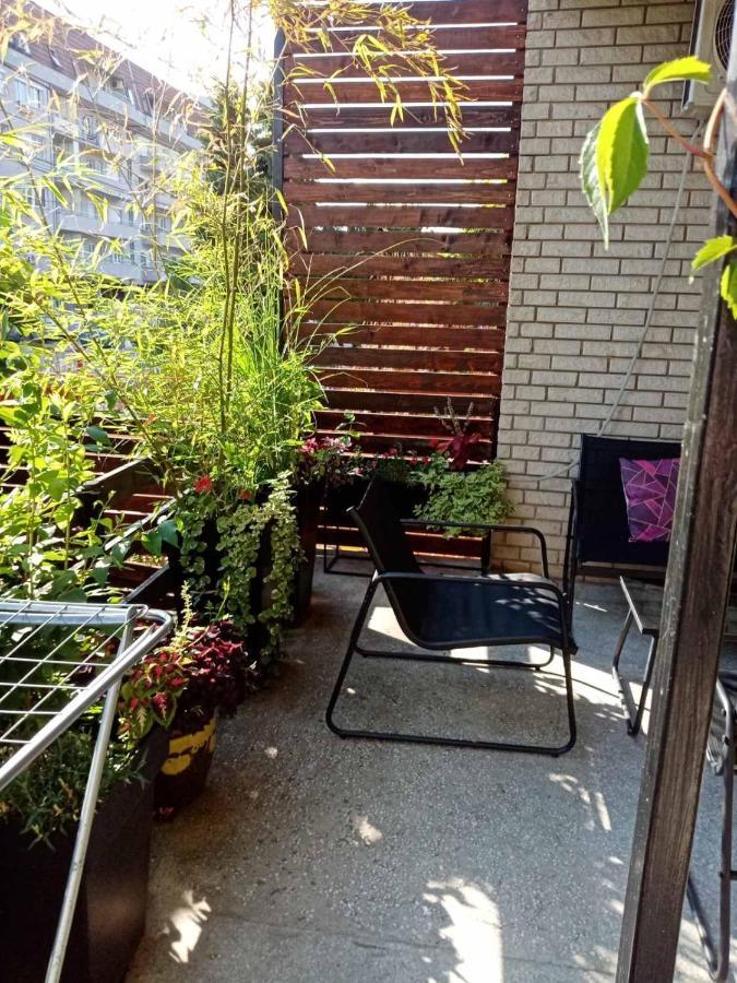 Dusica Apartmani Jagodina Ngoại thất bức ảnh